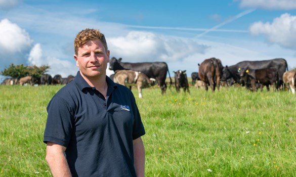 Beef and lamb farmer Harry Sordy stood in front of his cattle
